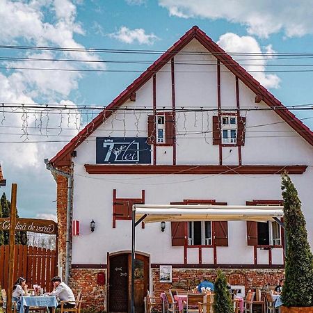 Pensiunea 7 Tei Cisnădioara Extérieur photo