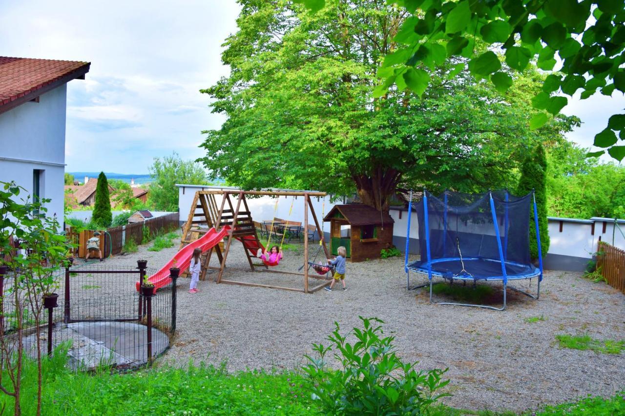 Pensiunea 7 Tei Cisnădioara Extérieur photo