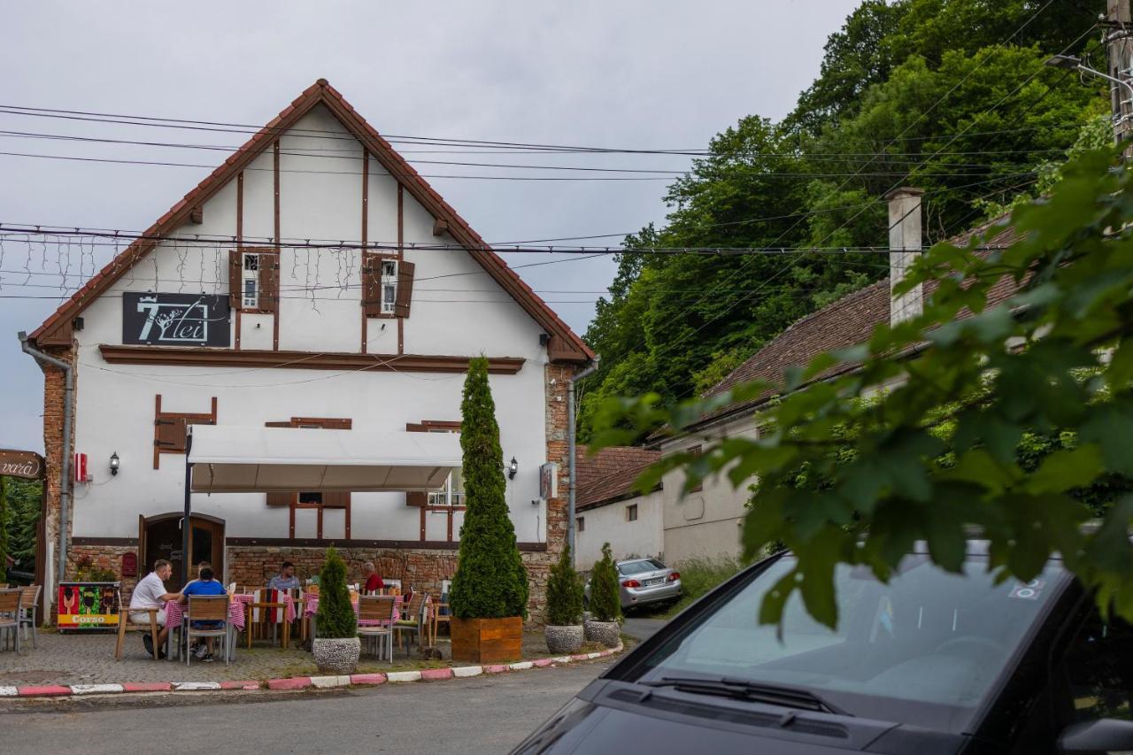 Pensiunea 7 Tei Cisnădioara Extérieur photo