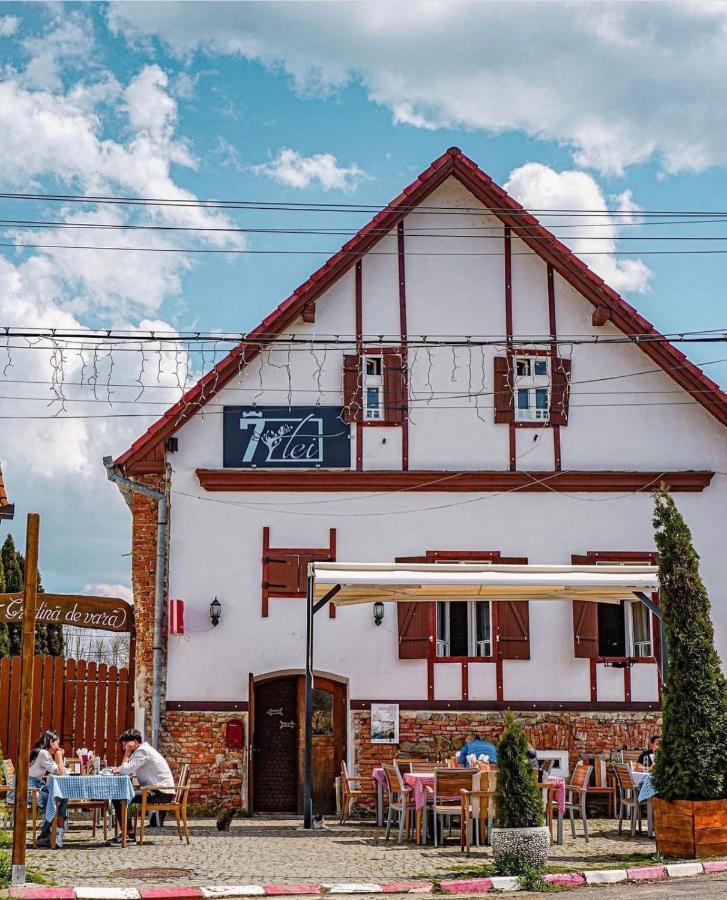 Pensiunea 7 Tei Cisnădioara Extérieur photo